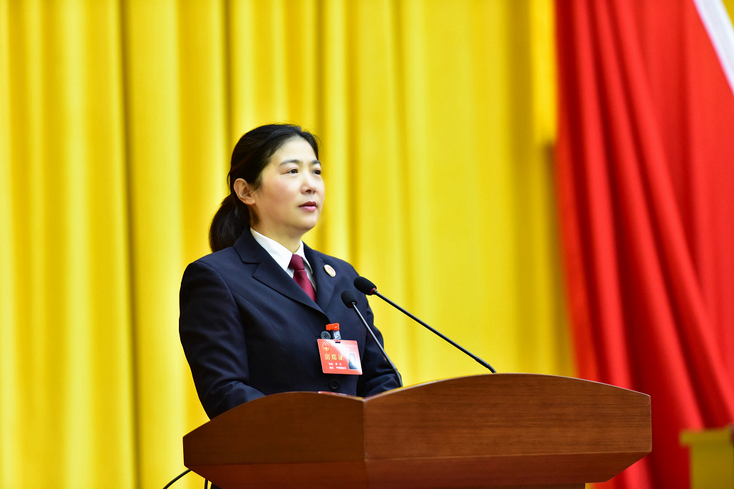 聚焦两会宁国市人民检察院检察长邵红在市第十七届人民代表大会第一次